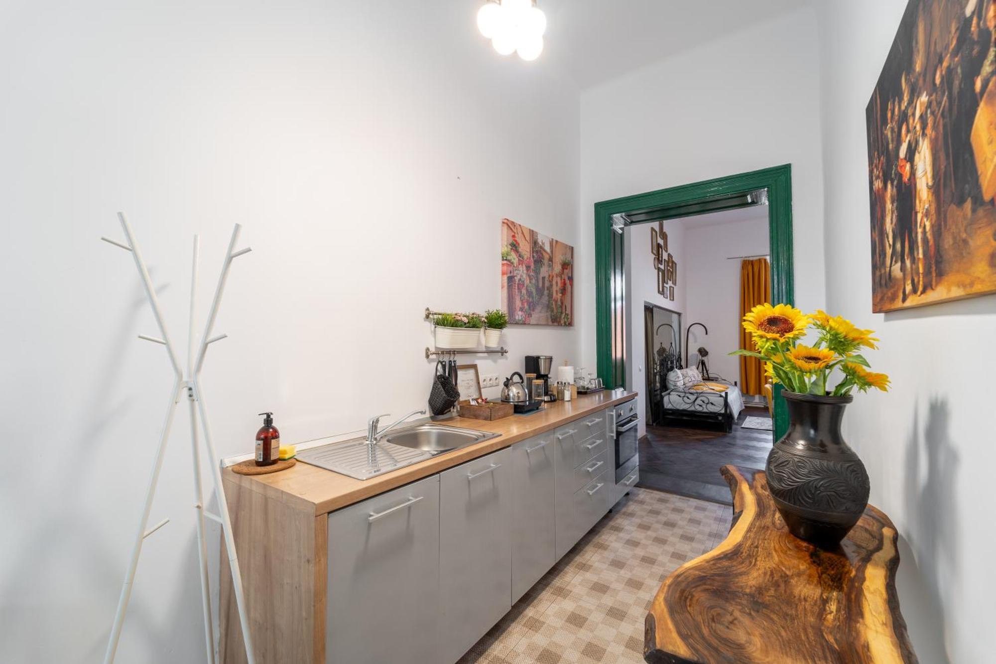 Noble 5 Star House In Unirii Plaza Villa Клуж-Напока Екстериор снимка